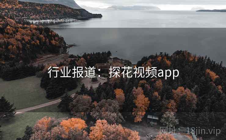 行业报道：探花视频app