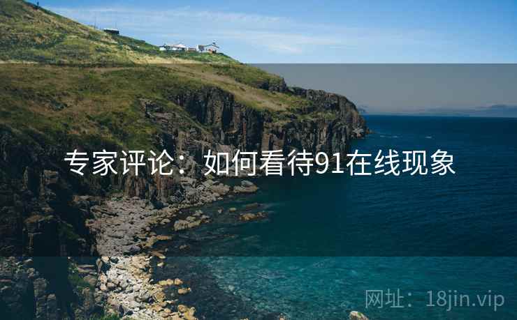 专家评论：如何看待91在线现象