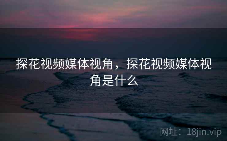 探花视频媒体视角，探花视频媒体视角是什么